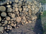 lenm de foc