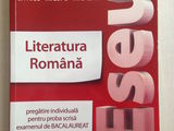 Literatura romana - Eseul - pregatire pentru proba scrisa bacalaureat