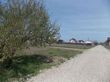 Lot teren - 285mp utili - 7.700 euro - intrare Berceni