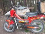 malaguti fifty 50