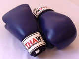 Manusi Kickbox