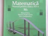 Matematica – manual pentru clasa XII, M1, Tena