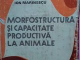 Morfostructura si capacitate productiva la animale ,1978