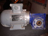 motor cu reductor