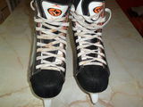 patine gheata