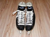 Patine gheata