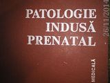 PATOLOGIE INDUSA PRENATAL , M. GEORMANEANU, EDITURA MEDICALA, BUCURESTI, 1978