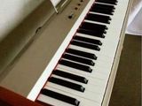 Pianina Electronica