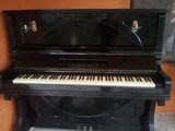 Pianina germana FR. Hajek. Wien