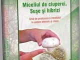Producerea miceliului