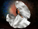 Program artistic profesional Dans Oriental!!! Show Belly Dance Oradea!
