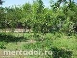 Propun spre vanzare un teren agricol,intravilan.