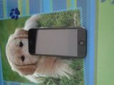 replica iphone 5 1:1