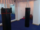 sac de box performance