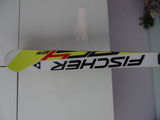 Schiuri Fischer RC4 GS 2014/2015