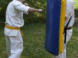 scut de antrenament pt sporturi de contact