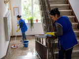 Servicii de Curatenie in Scari de Bloc - Timisoara
