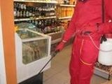 SERVICII DEZINSECTIE,DERATIZARE,DEZINFECTIE SI IGNIFUGARE