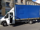 servicii transport