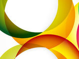 servicii web design & seo
