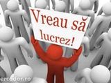 Sofer profesionist caut post.
