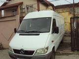sprinter 313