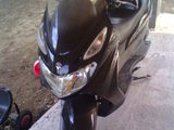 SUZUKI  ( VARIANTE)