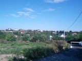 Teren 1000 mp  Iasi, Bucium Plopii fara sot
