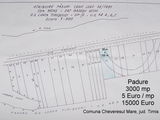 Teren 3000 mp Cheveresul Mare, Timis