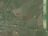 teren 6500 mp poiana constanta
