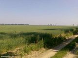 Teren arabil 1.7HA (extravilan)