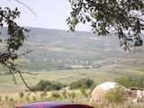 Teren  in Chicirea