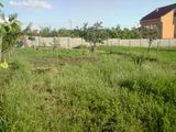 Teren in oncea 400mp 13.000 Euro