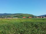 Teren în Tarlungeni jud. Brașov 4500 m2