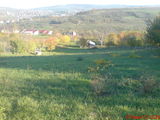 teren intravilan