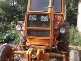 Tractor Belarus,65 CP