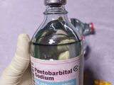TRAMADOL, NEMBUTAL, IBOGA, OXYCODONE, OXYCOTIN aplicație: +971589943206