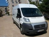 Transport intern-international colete