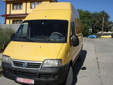 transport marfa 3.5t