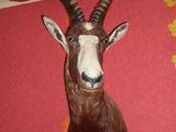 Trofee vanatoare Africa