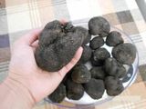 Trufe negre calitatea 1