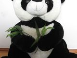 Urs Panda de plus