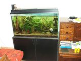 Vand acvariu Juvel Rio 240