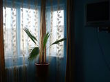 Vand apartament 2 camere-MANGALIA