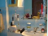 vand apartament 3 camere , nae leonard