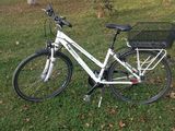 vand bicicleta pegasus premio sl