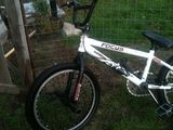 VAND bmx focus