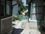 Vand casa 4 camere in Schei
