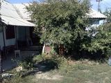 Vand casa in sat Rachelu jud Tulcea