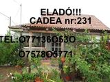 Vând casă la țară Cadea